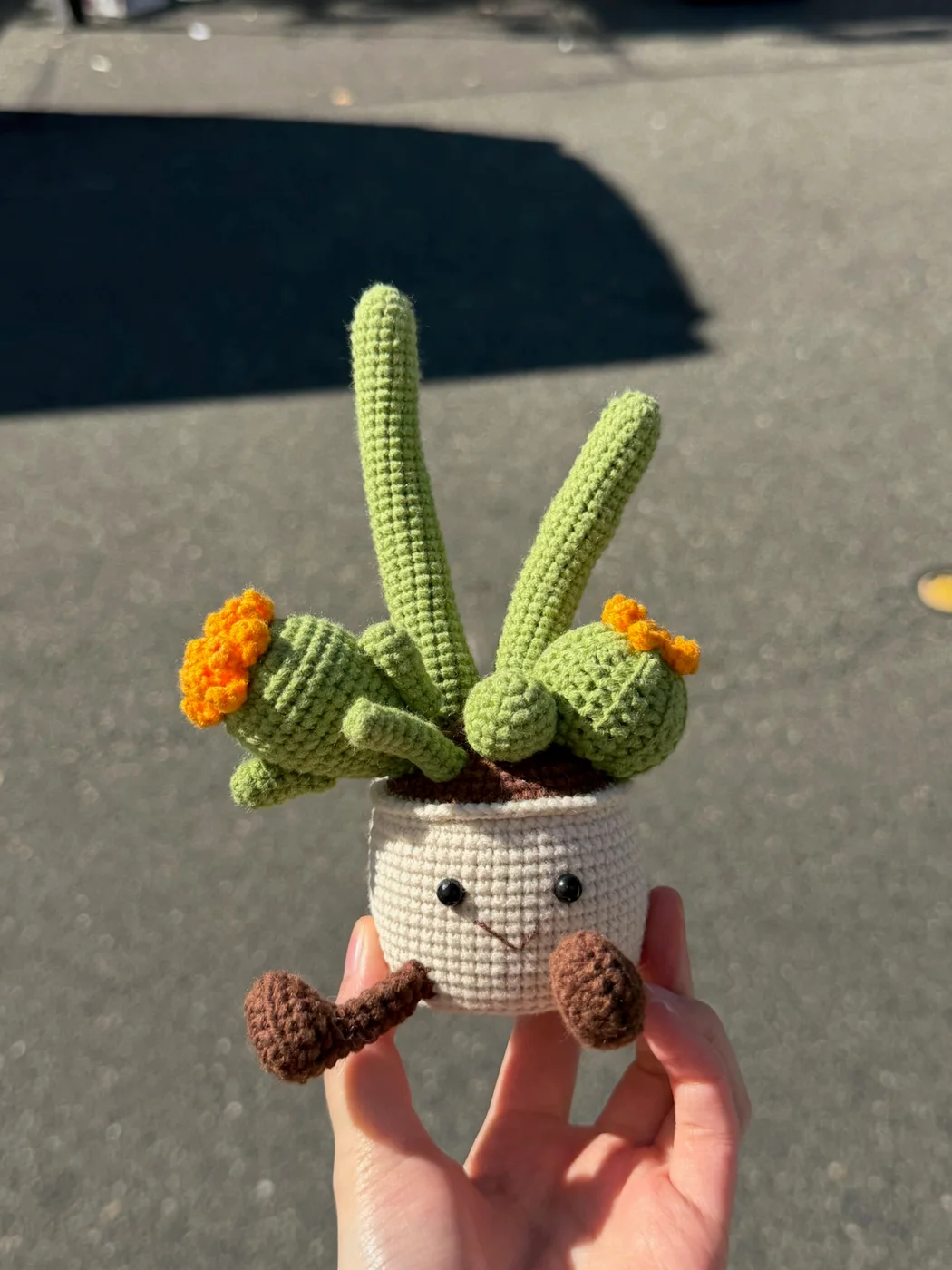 Sunny Cactus — original product photograph (8136)