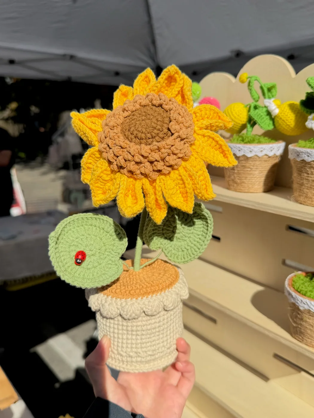 Sunflower & Little Friend — original product photograph (8146)